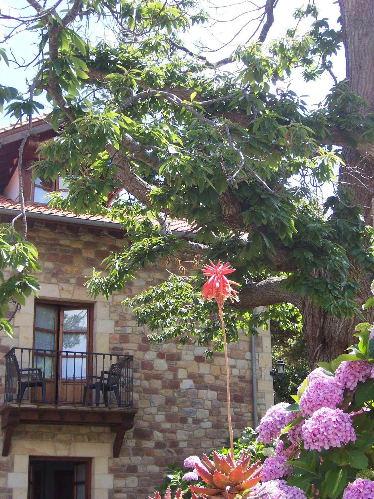 Posada Fuentedevilla Pechon Exterior photo